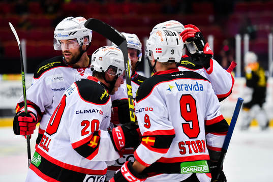 Malmö Redhawks spelare  jublar