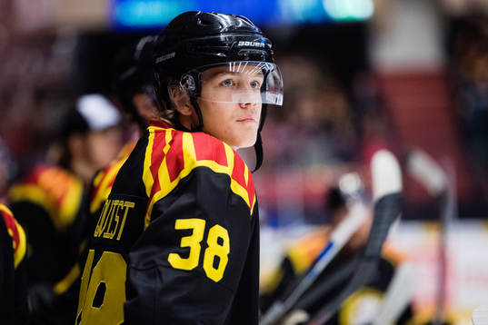 Brynäs Jesper Boqvist