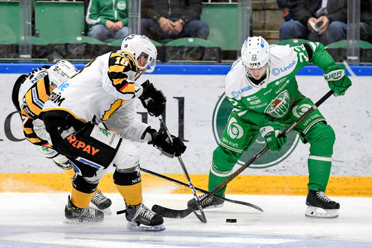 Skellefteås Pontus Petterström och Rögles Sebastian