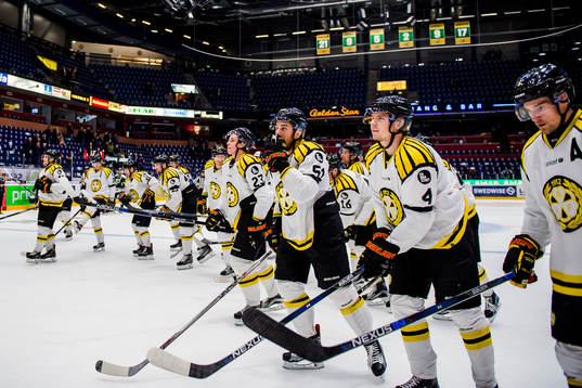 Brynäs jublar