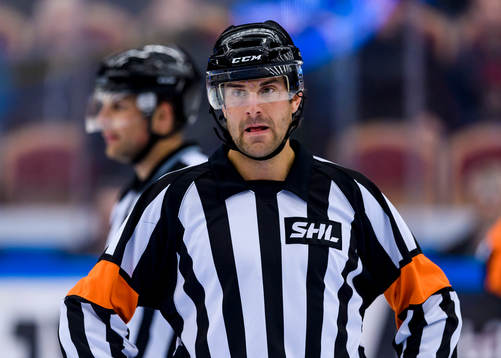 Domare Mikael Sjöqvist