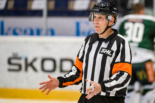 Domare Morgan Johansson