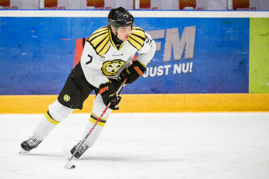Brynäs Ponthus Westerholm