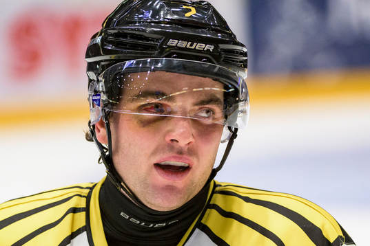 Brynäs Ponthus Westerholm