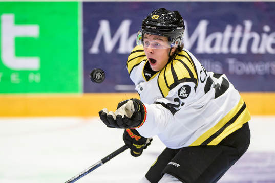 Brynäs Lucas Carlsson
