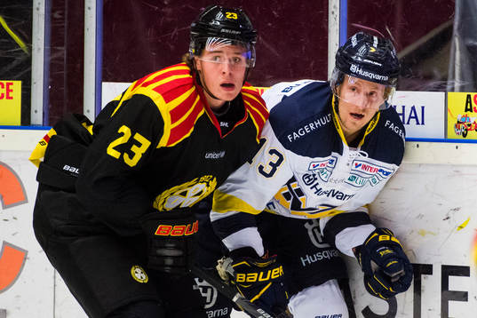 Bläddra bland fler bilder av Ishockey, SHL, Brynäs - Hv71