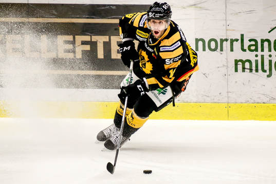 Bläddra bland fler bilder av Ishockey, SHL, Skellefteå - Linköping
