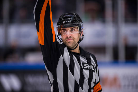 Domare Mikael Sjöqvist