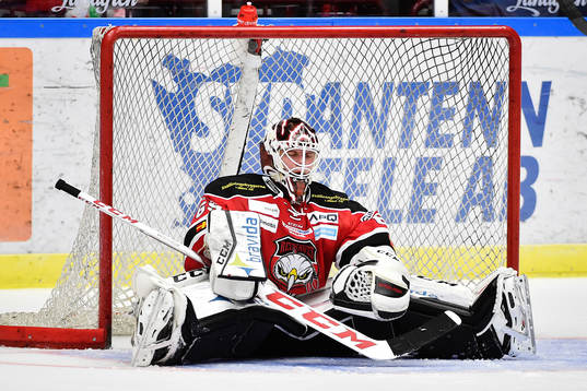 Malmö Redhawks målvakt Oscar Alsenfelt deppar