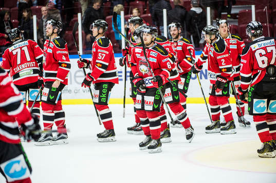 Malmö Redhawks spelare deppar