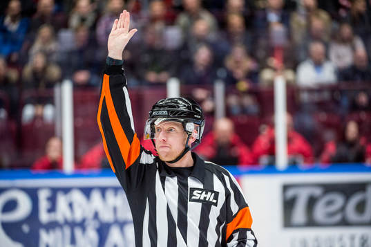 Domaren Mikael Holm