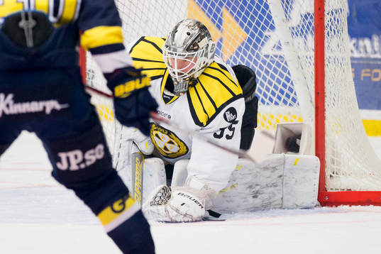 Brynäs målvakt David Rautio