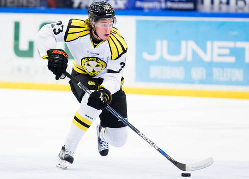 Brynäs Lucas Carlsson