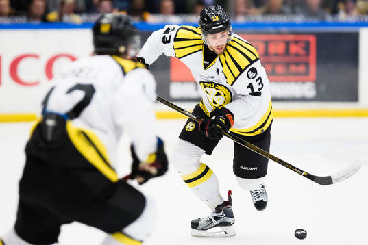 Brynäs Ryan Gunderson