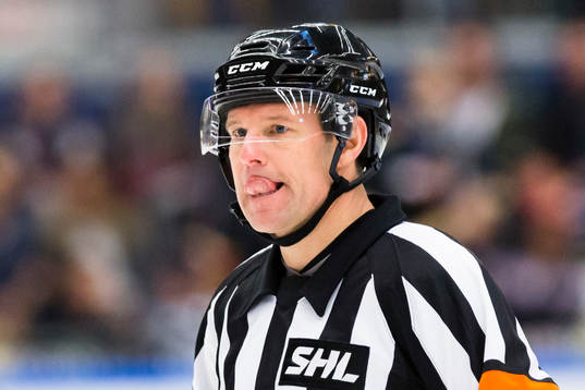 Domaren Wolmer Edqvist