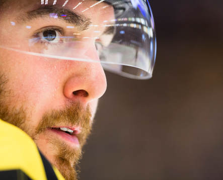 Brynäs Marc Zanetti