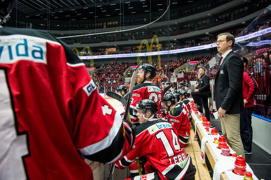 Malmö Redhawks assisterande tränare Martin Filander