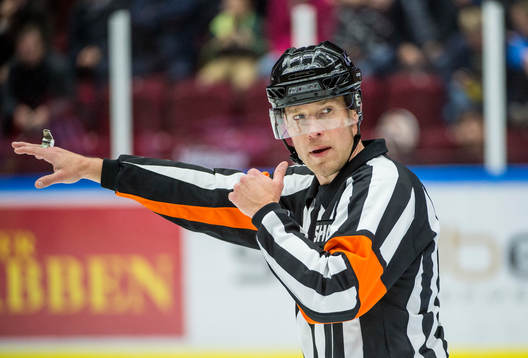 Domaren Tobias Björk