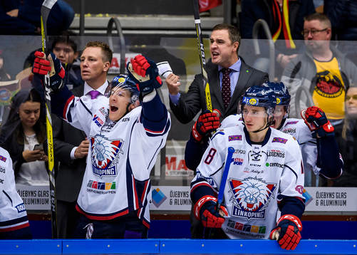 Linköpings tränare Dan Tagnes jublar