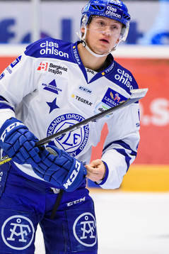 Leksands Daniel Bertov