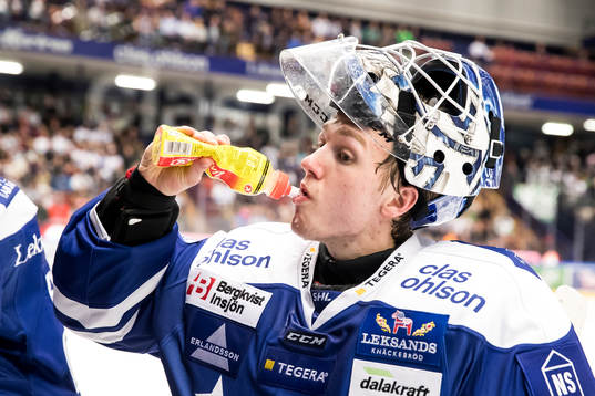 Leksands målvakt Henrik Haukeland  i ishockeymatchen i SHL