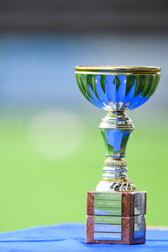 SM pokalen