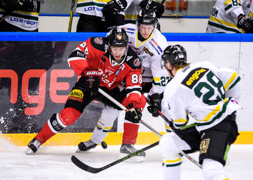 Piteås Erik Wikgren
