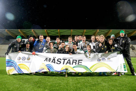 Hammarbys segrande lag jublar