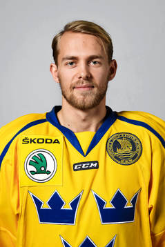 Sveriges Patrick Cehlin
