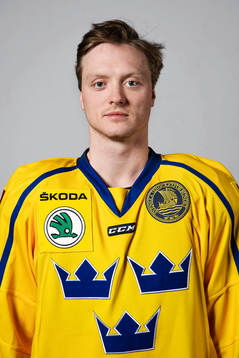 Sveriges Carl Klingberg