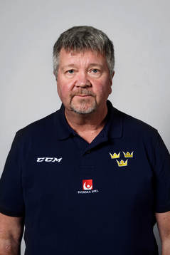 Sveriges läkare Björn Sandström