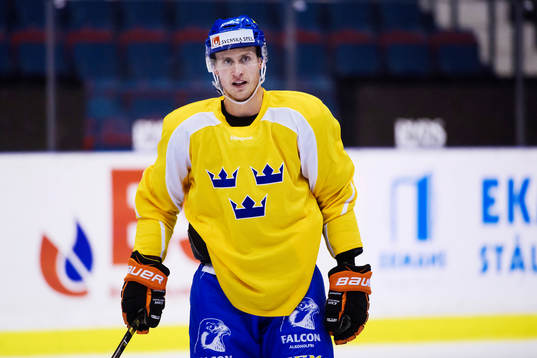 Sveriges Alexander Bergström