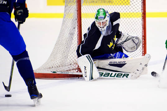 Sveriges målvakt Niklas Svedberg