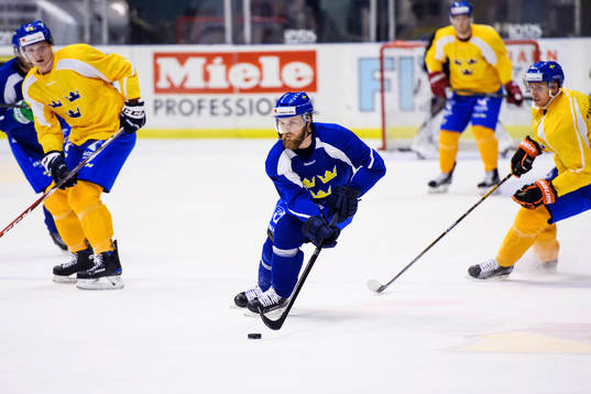 Sveriges Fredrik Pettersson