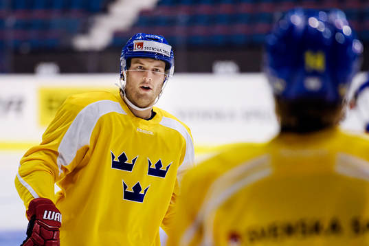 Sveriges Niclas Andersén