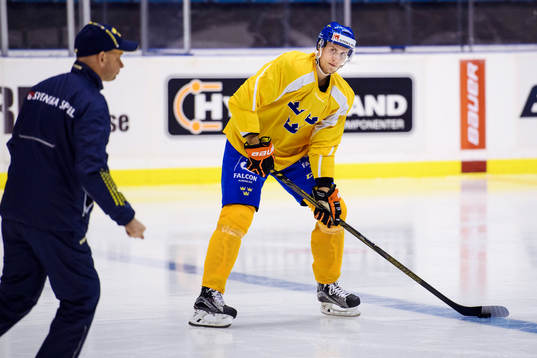 Sveriges Alexander Bergström