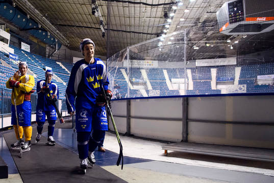 Sveriges Nils Andersson