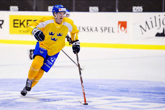 Sveriges Carl Klingberg