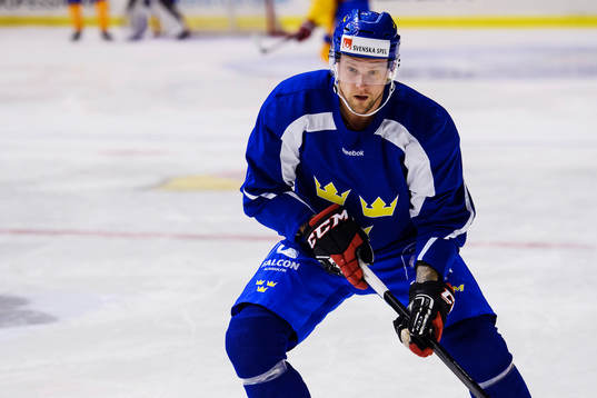 Sveriges Jonas Ahnelöv