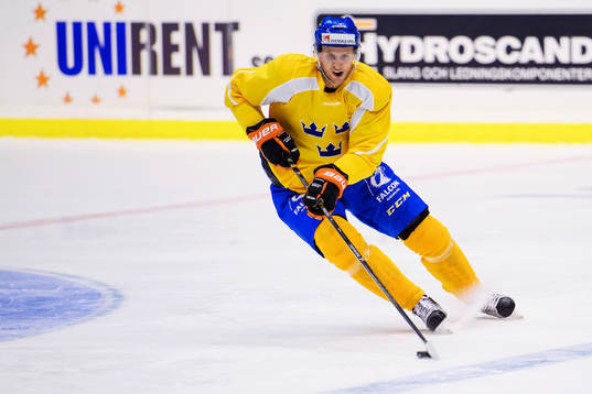 Sveriges Alexander Bergström