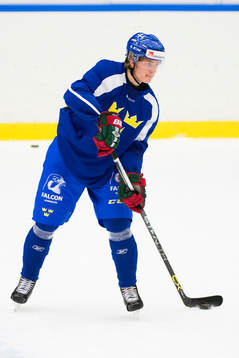 Sveriges Kristoffer Gunnarsson