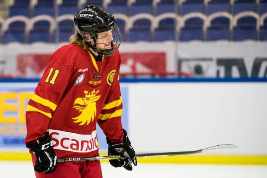 Skånes Hugo Wirell deppar