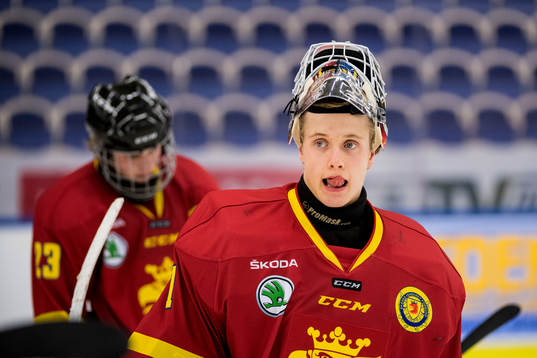 Skånes målvakt Anton Andersson deppar