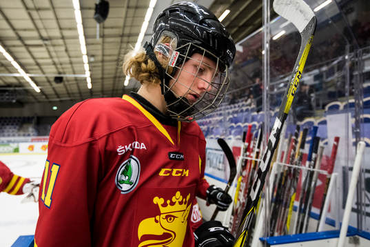 Skånes Hugo Wirell deppar i periodpaus