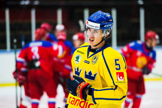 Sveriges David Bernhardt deppar