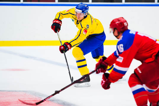 Sveriges Gabriel Karlsson och Rysslands Igor Shvyrev