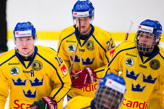 Sveriges Carl Grundström, Erik Brännström, Elias