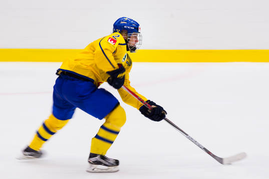 Sveriges Erik Brännström