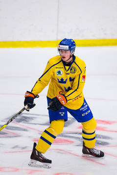Sveriges Linus Högberg