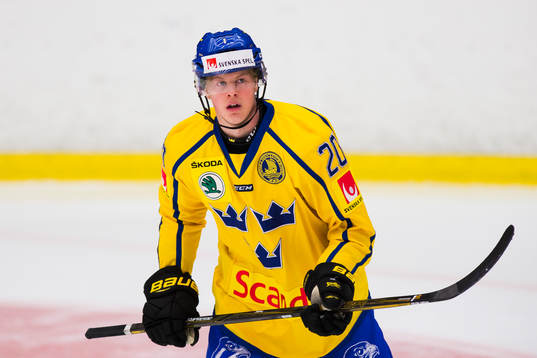 Sveriges Fredrik Karlström
